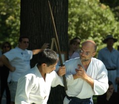 6 - Tachi Nage Waza (Roots of Aikido)